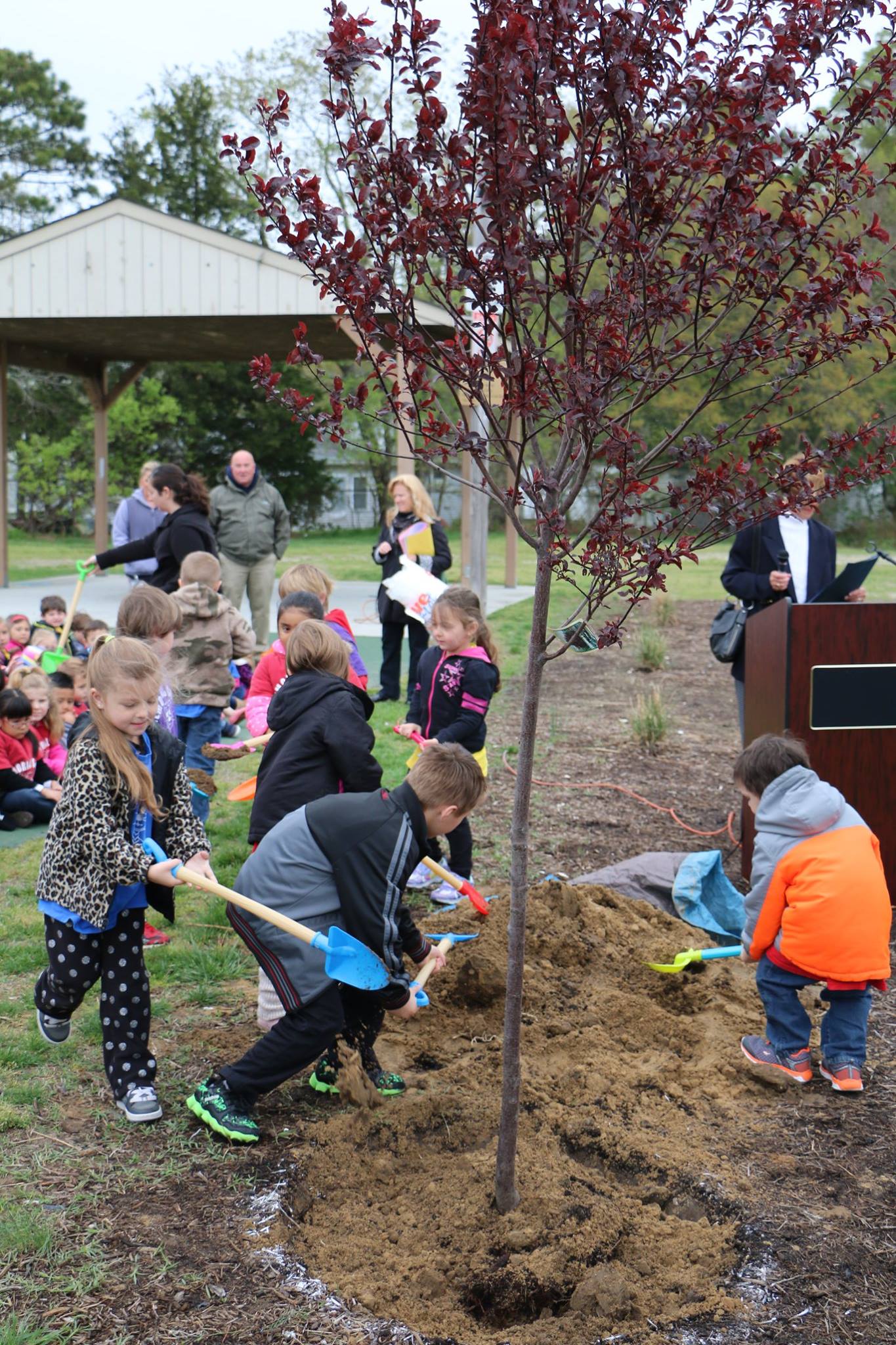 Arbor Day | Lower Township Recreation Department
